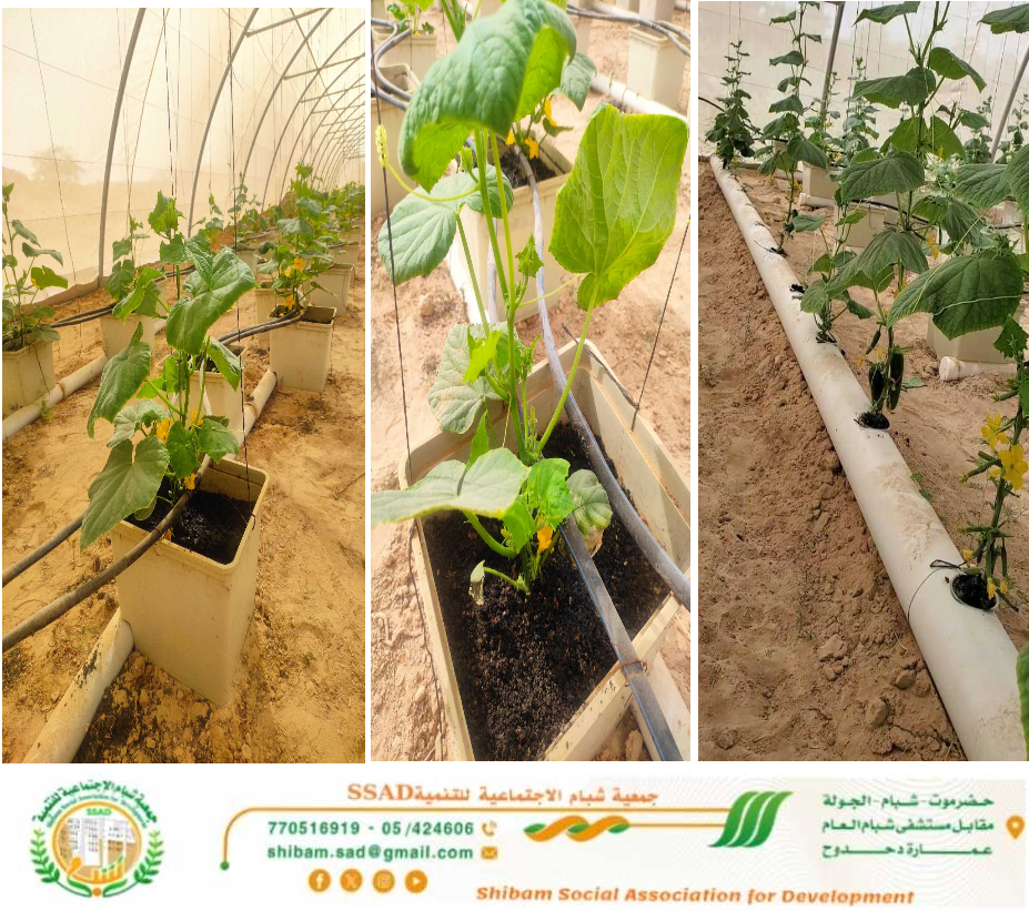 محمية الزراعه المائيه